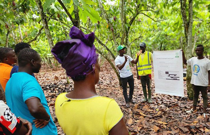 Formation des producteurs